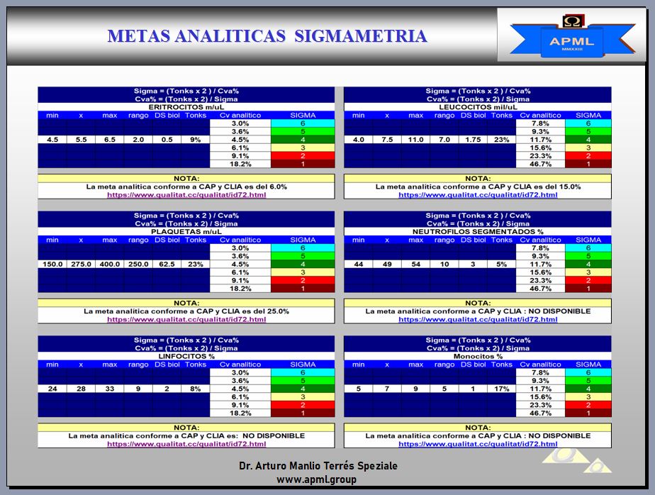 2024.APML.METAS.ANALITICAS.BH.SIGMA..JPG