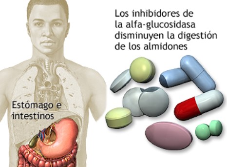 2025.ACARBOSA.jpg