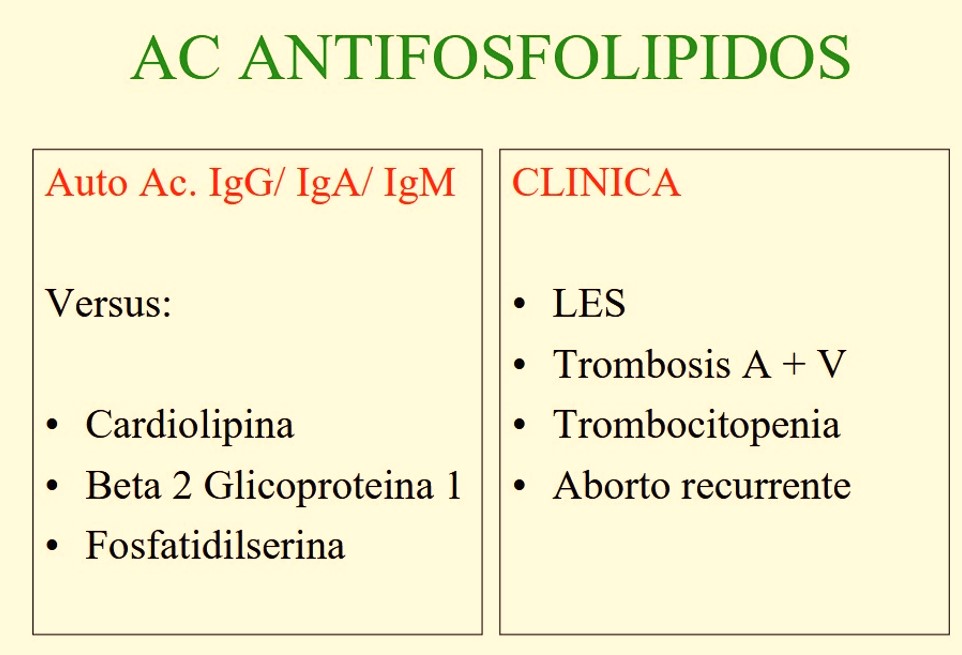 ANTIFOSFOLIPIDOS.jpg