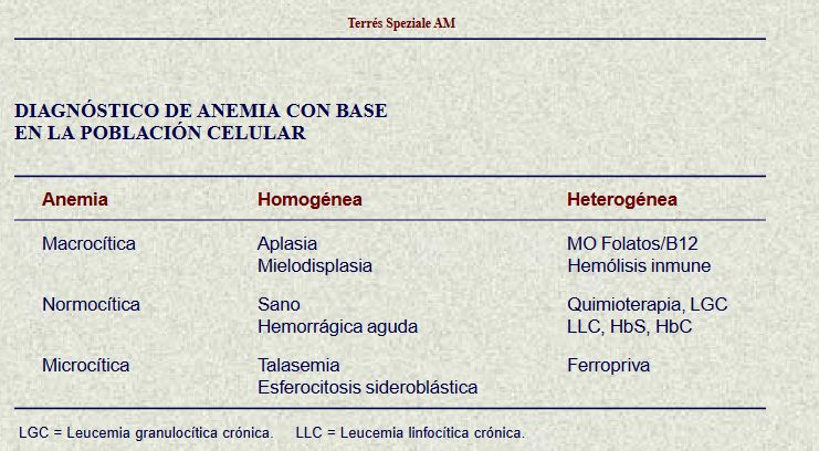 PERFIL.ANEMIA.JPG