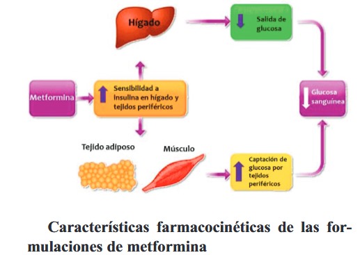METFORMIN4.jpg