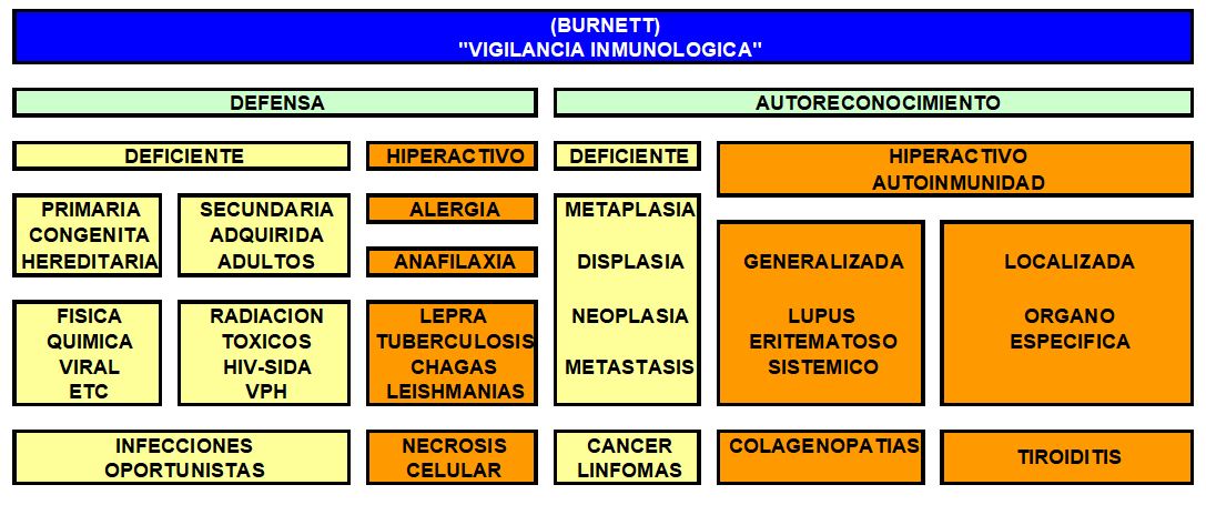 VIGILANCIA.INMUNE.JPG